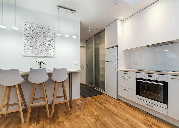 Rooftop Apartament Tallin